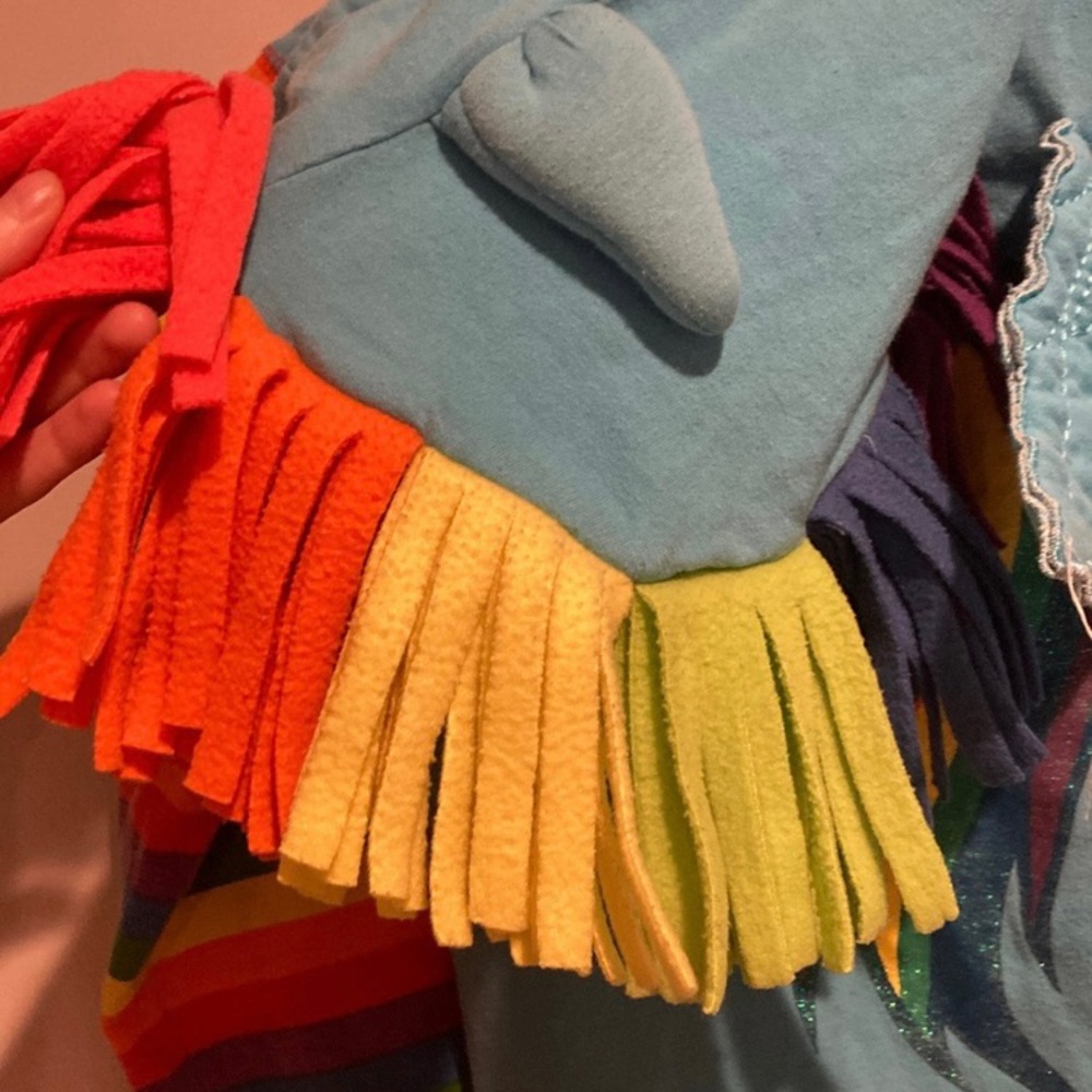 ❌SOLD on MERCARI❌ My Little Pony Rainbow Dash Hoody - Picture 8 of 9